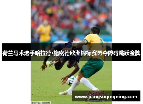 荷兰马术选手哈拉德·施密德欧洲锦标赛勇夺障碍跳跃金牌 荷兰马术选手哈拉德·施密德欧洲锦标赛勇夺障碍跳跃金牌