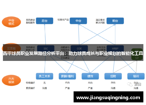 西甲球员职业发展路径分析平台：助力球员成长与职业规划的智能化工具